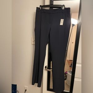 Navy Blue Express Dress Pant Size 10 Never worn with tags.